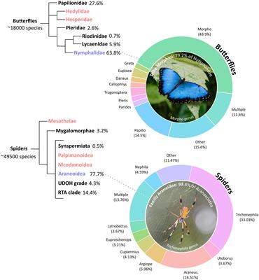 From Bioinspired to Bioinformed: Benefits of Greater Engagement From Biologists